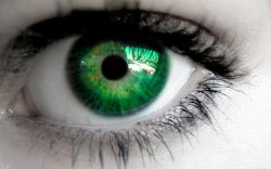 Eye left